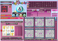 Bingo Funland