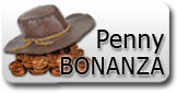 PENNY BONANZA