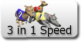 3 IN 1 SPEED